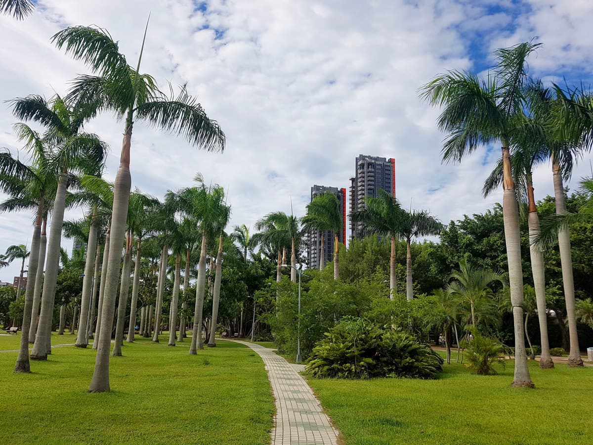 Тайвань. Лесной парк Daan Forest Park